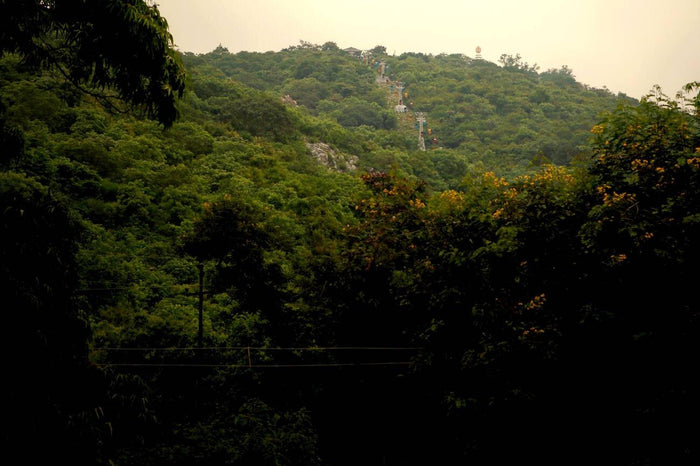 Rajgir Ropeway In Bihar