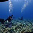 Scuba Diving in Kovalam