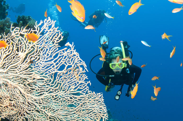Premium Scuba Diving Package, Goa | Use THRILLO200 for Flat 200 Off