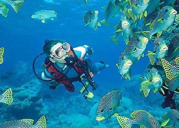 Scuba Diving in Gujarat