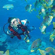 Scuba Diving in Gujarat