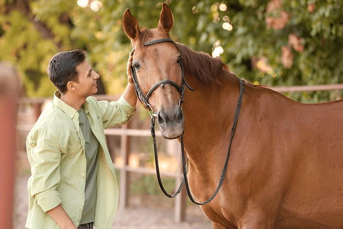 Photoshoot with Horse in Faridabad