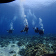 Scuba Diving in Kovalam