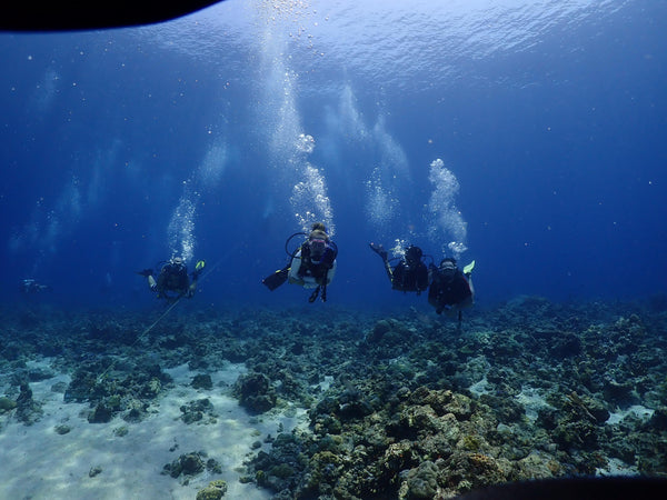 Scuba Diving in Kovalam